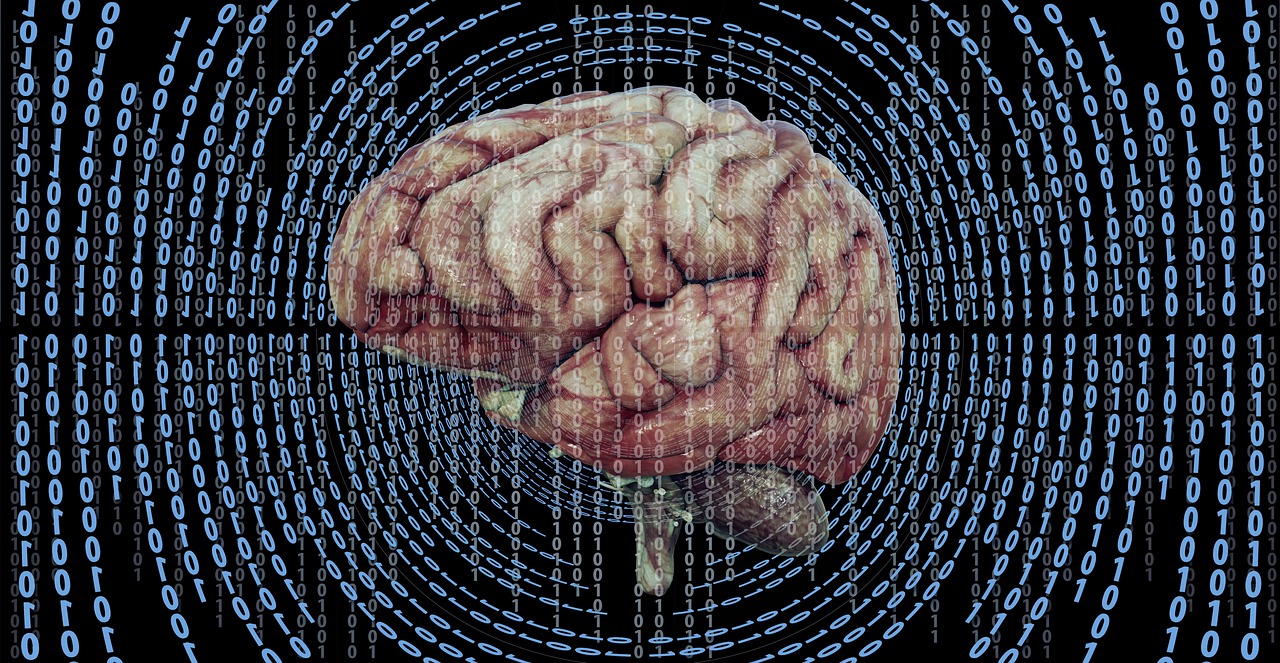 Are There Universal Morals across Cultures?